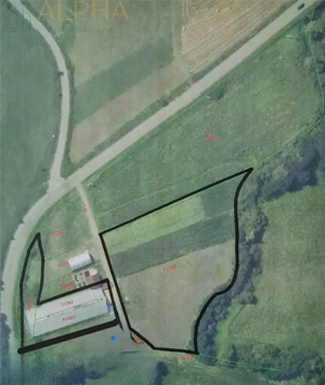 AFACERE LA CHEIE – HALA PRODUCTIE + SERA PROFESIONALA - imagine 4