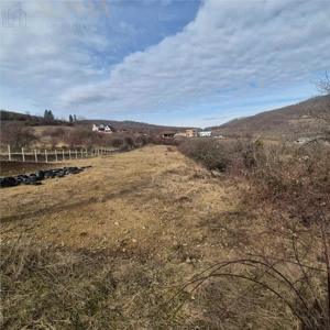 Teren  extravilan de vanzare – Bistrita, Valea Rusului - imagine 5