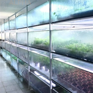 AFACERE LA CHEIE – HALA PRODUCTIE + SERA PROFESIONALA - imagine 9