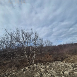 Teren intravilan de vanzare – Sigmir, Str. Soarelui - imagine 4