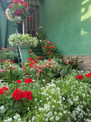 Casa de vanzare - imagine 5