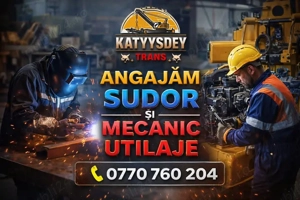 Vrei să faci parte dintr-o companie aflată în plină ascensiune? 