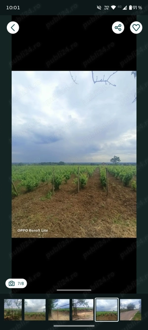 Vând teren intravilan Valea Calugareasca - imagine 3