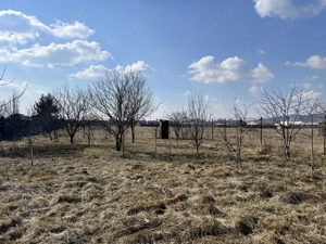 Teren intravilan 1000 mp cu cabana ingradit utilitati PUZ livada pomi fructiferi - imagine 5