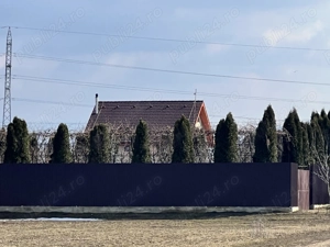 Teren intravilan 1000 mp cu cabana ingradit utilitati PUZ livada pomi fructiferi - imagine 7