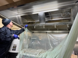 Angajam muncitor curatenie si deratizare - imagine 11