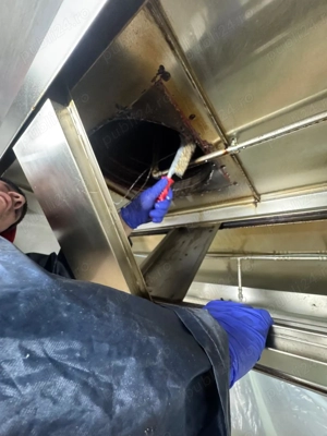 Angajam muncitor curatenie si deratizare - imagine 14