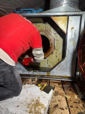 Angajam muncitor curatenie si deratizare - imagine 15