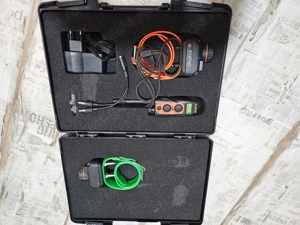 Lesa dogtra pentru caini - imagine 2