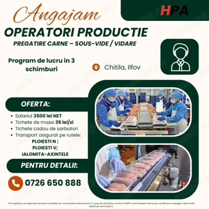 Operator productie Fabrica Noua - Chitila - transport de pe rute 