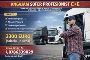 Șofer Comunitate 40T | Danemarca - Franța 