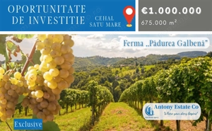 Oportunitate de investitie, Ferma Padurea Galbena  - Cehal, Marghita