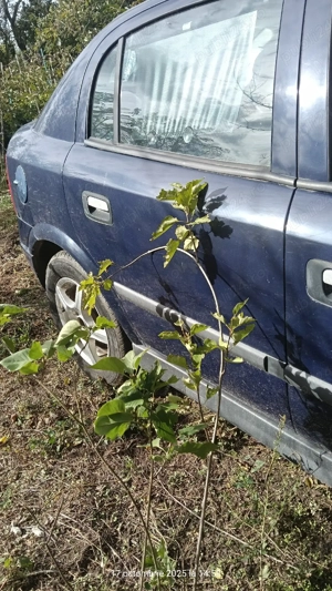 opel astra  g 1.4 - imagine 4