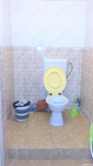 Semicentral - spatiu comercial de 45 de mp - imagine 13