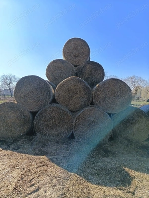 Baloti rotunzi de paie 