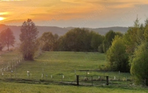 Teren 7024 mp Ciucea Cluj, livadă + pădure, curent, ideal cabană - imagine 4