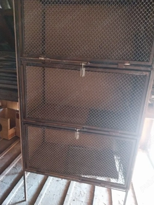 custi iepuri  - imagine 4