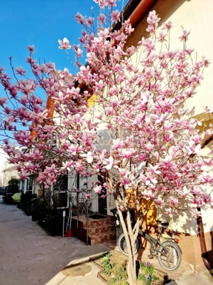 Vilă de vânzare – mobilată și utilată/complex privat zona Pallady