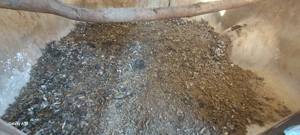 gainat de gaini ingrasamant natural - imagine 3