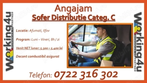 Sofer Distributie Categoria C pe cub frigorific