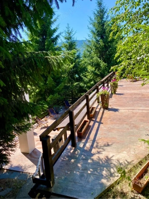 Casa Pensiune de vanzare in Colibita - imagine 10