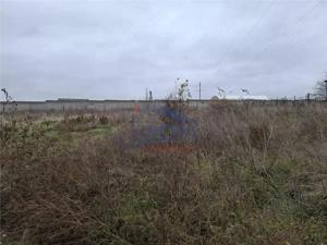 Teren  intravilan langa padure