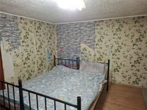 Pantelimon - Tuborg - imagine 5