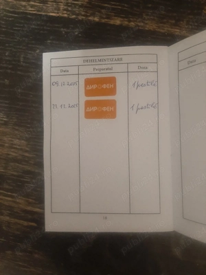 Motănel Sfinx Canadian. - imagine 5