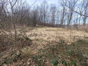 Vând teren zona Triaj 5755 mp