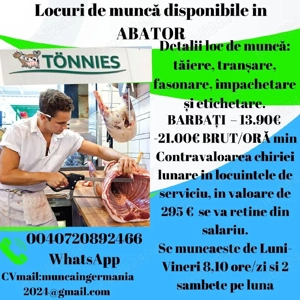 Muncă in abator Germania 