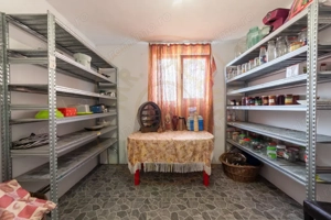 Casa parter + 3.055 mp teren in Costesti - imagine 9