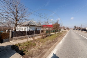 Casa parter + 3.055 mp teren in Costesti - imagine 12