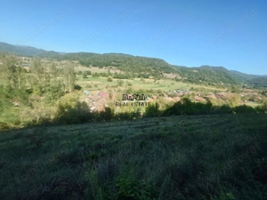 Terenuri si Padure in Criscior - imagine 2