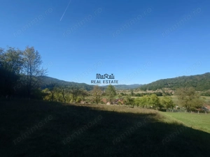 Terenuri si Padure in Criscior - imagine 8