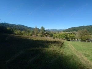 Terenuri si Padure in Criscior - imagine 5