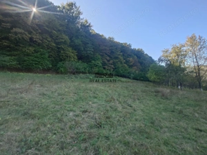 Terenuri si Padure in Criscior