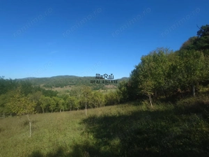 Terenuri si Padure in Criscior - imagine 6