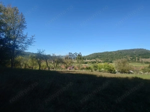 Terenuri si Padure in Criscior - imagine 3