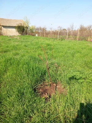 vind teren - imagine 2