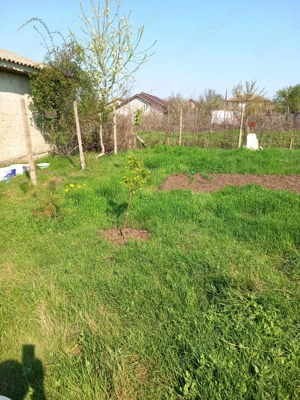 vind teren - imagine 5