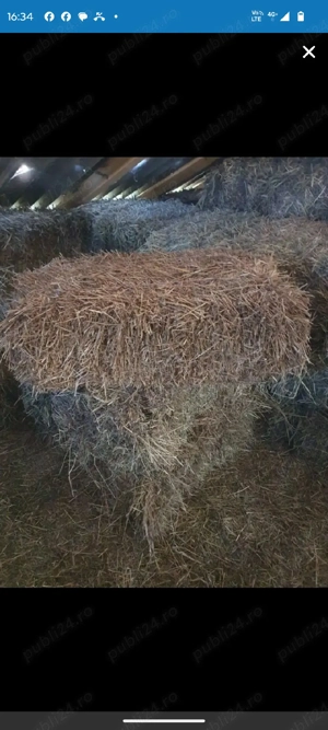 Vând baloți orz și orzoaică