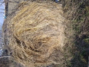 Vand baloti  de fan 120 pe 120