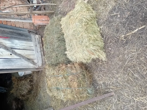 Baloti dreptunghiulari mici 