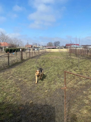 Investitie DN28 Iasi -Spatiu Comercialsi Casa P E M  Vad Comercial format Parcare    299000 Euro  - imagine 9