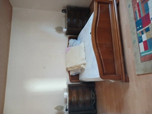 Casa de vanzare + garaj cu mansarda + anexe - imagine 7