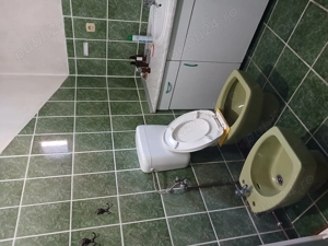 Casa de vanzare + garaj cu mansarda + anexe - imagine 8