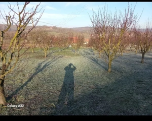 Casă în zonă rustica cu aer aeristocrat - imagine 3
