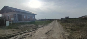 Teren 650 mp Sacalaz de vânzare  - imagine 7