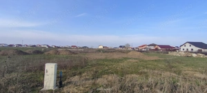 Teren 650 mp Sacalaz de vânzare  - imagine 5