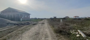 Teren 630 mp Sacalaz de vânzare 